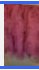 Care Bears Girls Rainbow Graphic w Pink Tutu Bottom Sleeveless Sundress, Size M