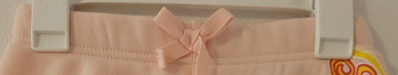 Sailor Moon Velied Rose Shorts Size XL Plus