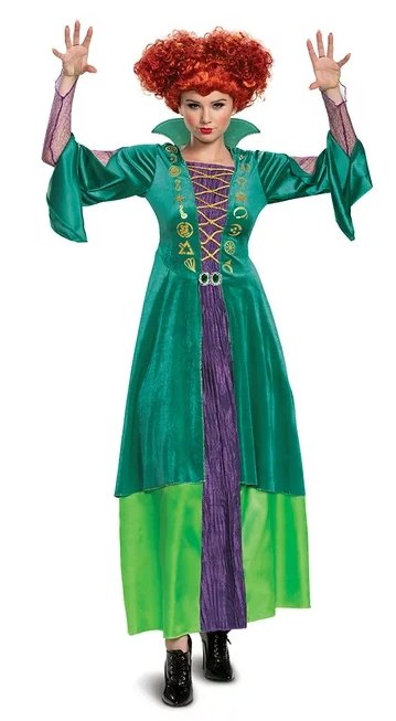 Womens Size 3XL (26-28 Plus) Wini Sanderson Deluxe Halloween Adult Costume Disney Hocus Pocus, Disguise