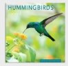 2024 -12 Month Cal Hummingbirds 12x12 Hanging Wall Calendar by DaySpring