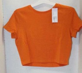 Wild Fable Ladies Cropped Dark Orange Crew Neck Shortsleeve Tee, Size XS