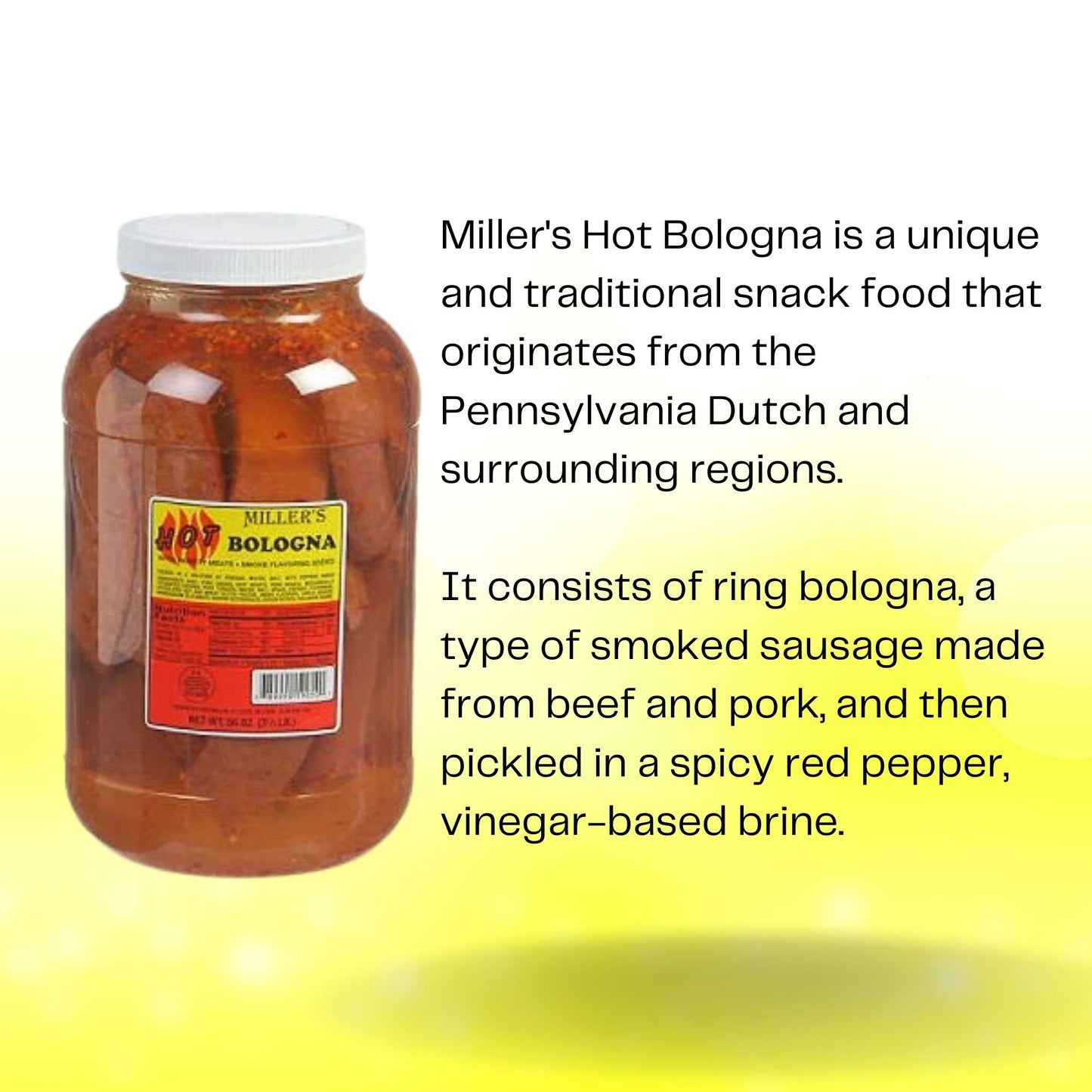 Miller's Hot Bologna, 56 oz. deluxe jumbo jar