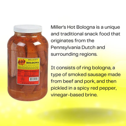 Miller's Hot Bologna, 56 oz. deluxe jumbo jar
