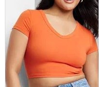 Wild Fable Ladies Cropped Dark Orange Crew Neck Shortsleeve Tee, Size XS