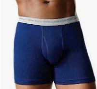 Hanes Tagless Boxer Briefs 10pack Size Large