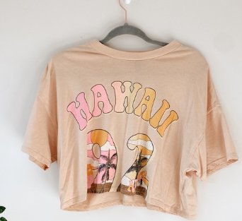 Wild Fable Peach 'Hawaii 92' Graphic Cropped T-shirt, Size L