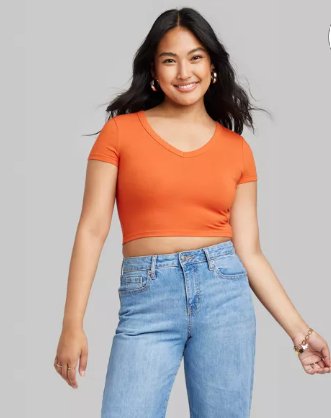 Wild Fable Ladies Cropped Dark Orange Crew Neck Shortsleeve Tee, Size XS