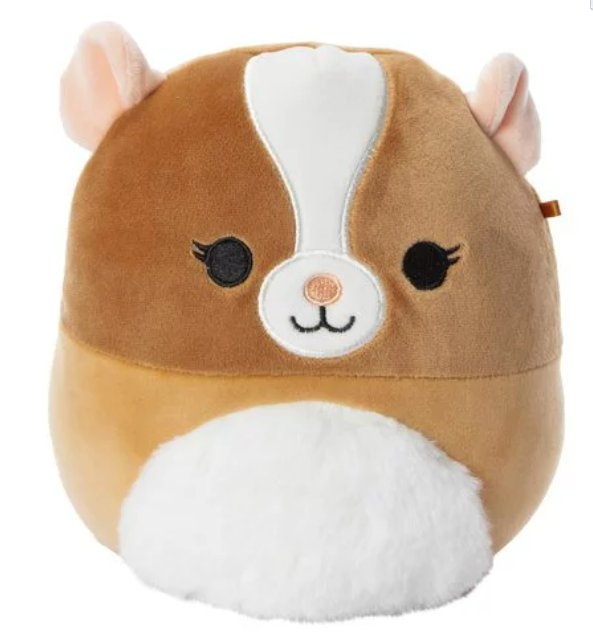 Squishmallows Garret 8 in Brown & White Guinea Pig Plush