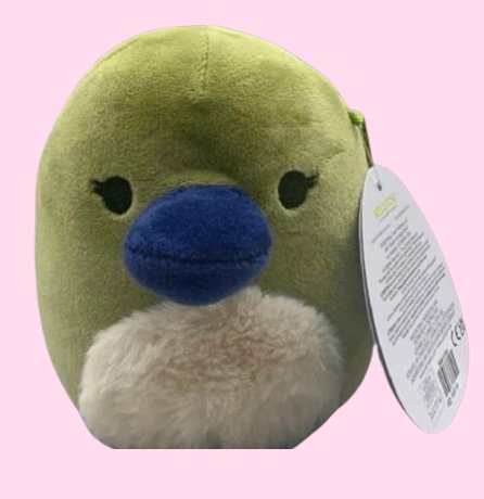 squishmallows 5 inch tammy platypus