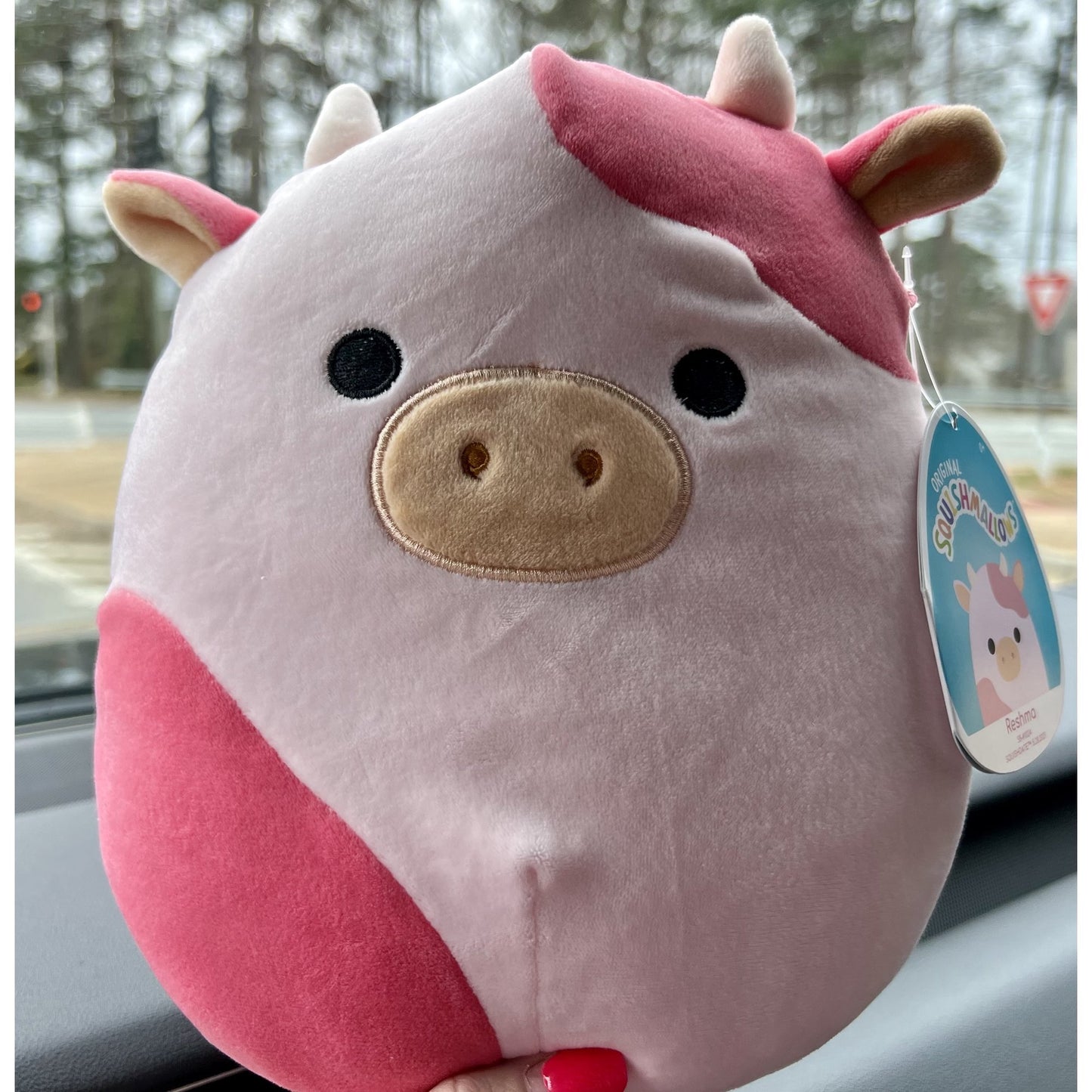 Squishmallows Official Kellytoy Plush 8" Reshma The Pink Cow BoxLunch Exclusive